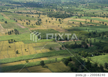 THAILAND ISAN BURI RAM LANDSCAPE FIELDS 20008240
