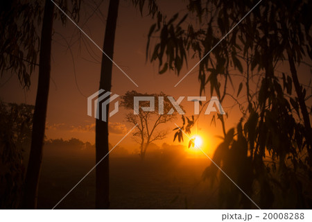 THAILAND ISAN SURIN LANDSCAPE MORNING 20008288