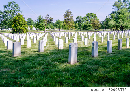 Rows of White Grave Stones Rows of White Grave Stones 20008532