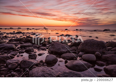 Foundlings on shore 20008627