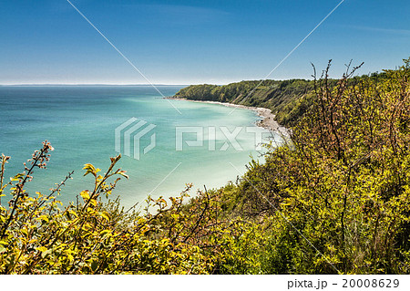 Cliff on the Baltic Sea 20008629