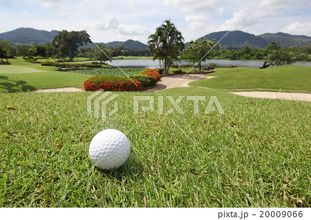 Golfball on grass Golfball on grass 20009066