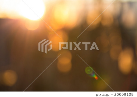 Gold desert in sunset, abstract bright  20009109