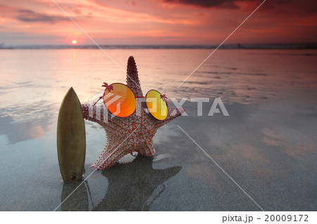 Starfish surfer on the beach Starfish surfer on the beach 20009172