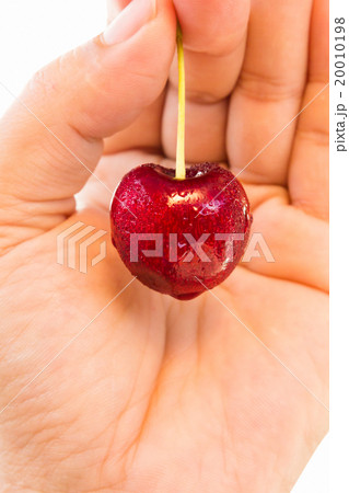 ripe cherry 20010198
