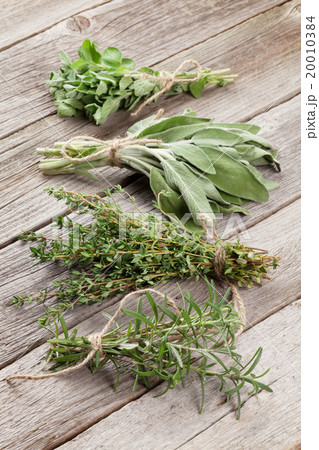 Fresh garden herbs 20010384