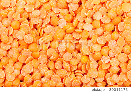 raw Red Split Lentil 20011178