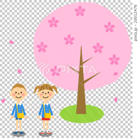 儀式儀式圖像櫻花樹（托兒所·幼兒園男孩，女孩） 20012476