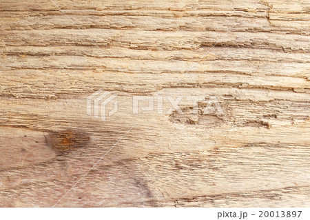Old wood background 20013897