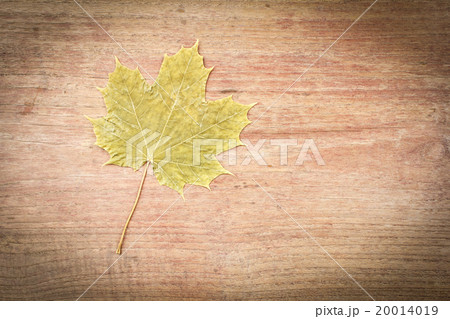 Maple Leaf on wood Maple Leaf on wood 20014019