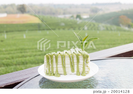 Green tea cake 20014128