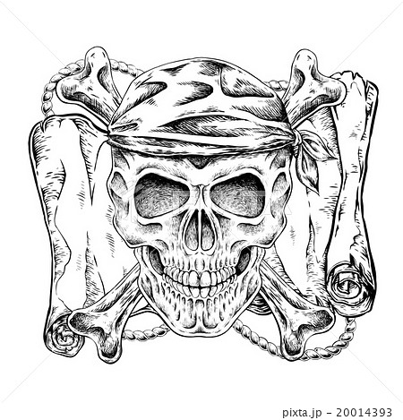 海賊 骸骨 ドクロのイラスト素材
