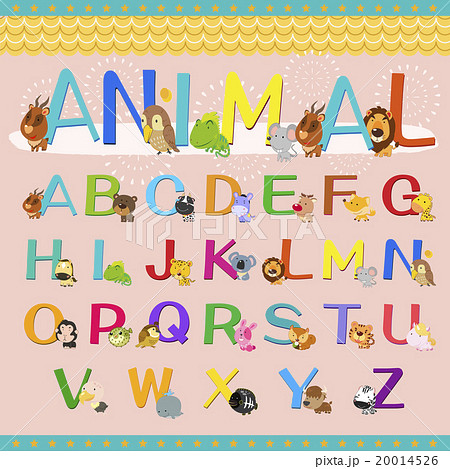 アルファベット 動物 愛らしいのイラスト素材