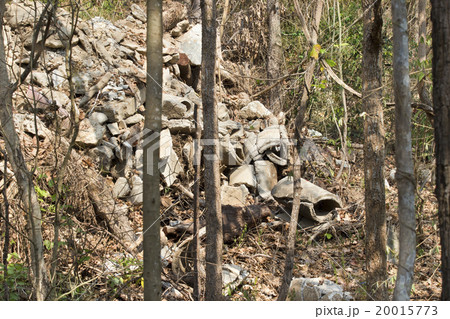 Garbage dump - polluted forest 20015773
