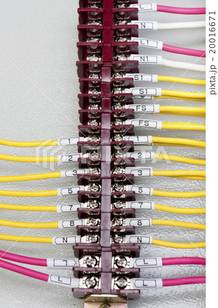 Wire connector terminal 20016671