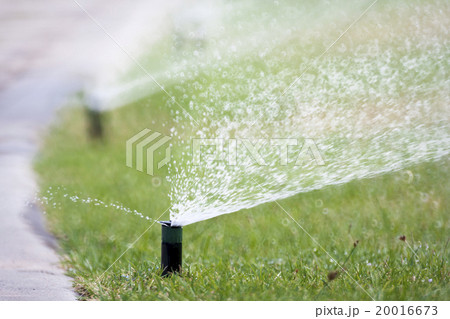 sprinkler head watering the grass 20016673