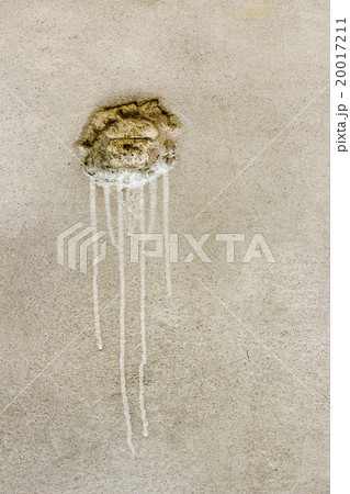 Hole cracks in the concrete wall 20017211