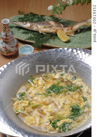 料亭のカマス塩焼きと白魚の柳川鍋の写真素材