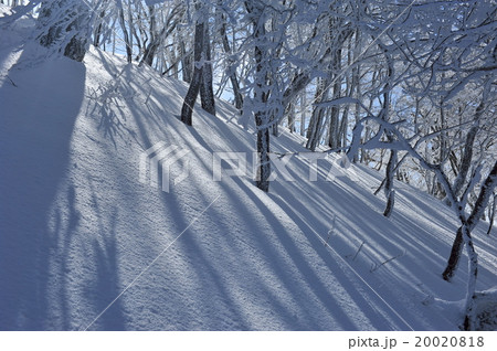雪と霧氷 雪と霧氷 20020818