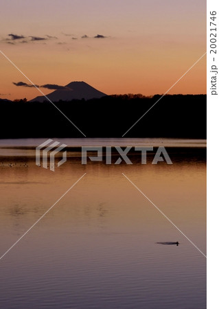 多摩湖から見える富士山　夕景 20021746