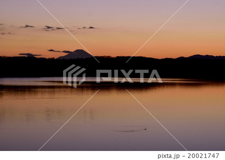 多摩湖から見える富士山 夕景 多摩湖から見える富士山 夕景 20021747