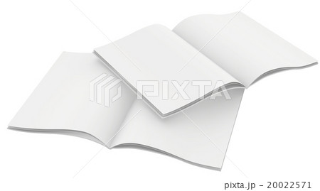Couple of blank magazines template. on white 20022571