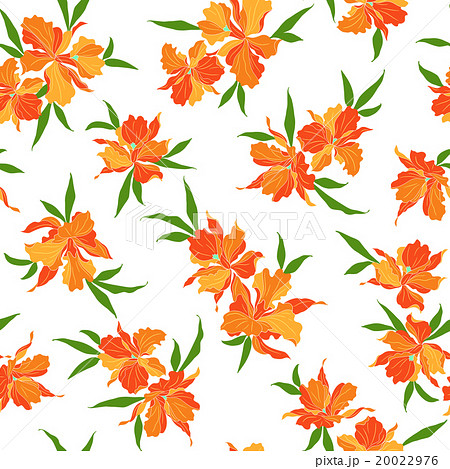 花のパターン　カトレア 20022976