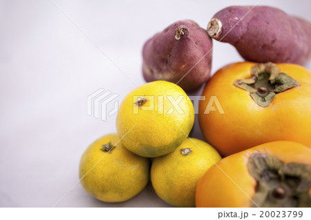 秋の収穫、みかん、柿、さつまいも #3 20023799