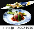 料亭の焼き物と揚げ物 20024930