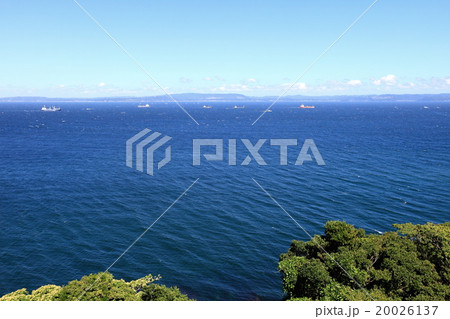 浦賀水道 東京湾 浦賀水道 東京湾 20026137