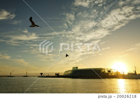 アクアマリンふくしま アクアマリンふくしま 20026218