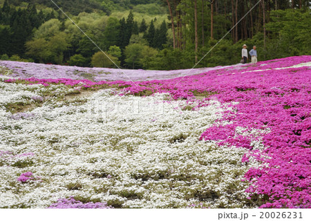 ジュピアランドひらた ジュピアランドひらた 20026231