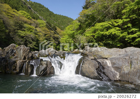 鮫川龍神峡大滝 20026272