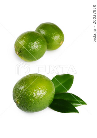 The fresh lime isolated on a white background 20027950