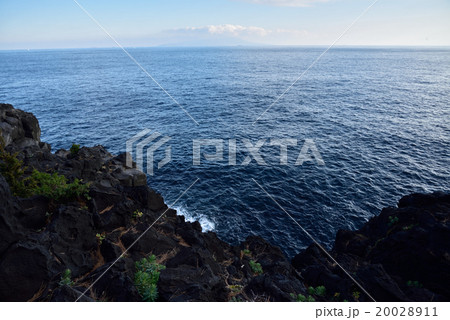 水平線の先の伊豆大島 20028911