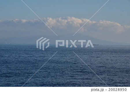 水平線の先の伊豆大島 水平線の先の伊豆大島 20028950