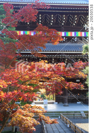 京都　秋の金戒光明寺 20030538