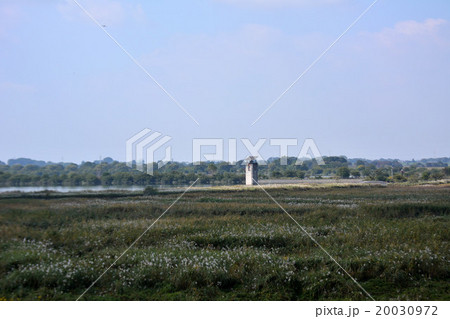 渡良瀬遊水地 20030972