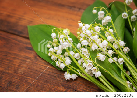 Bouquet of lily of the valley 20032536