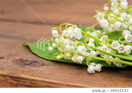 Bouquet of lily of the valley Bouquet of lily of the valley 20032537