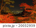 紅葉と夜景 20032939