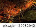 紅葉・ライトアップ 20032942