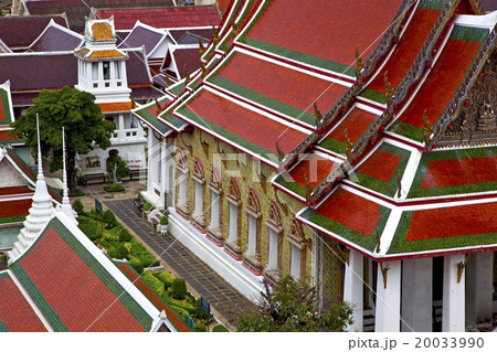asia  thailand  in  bangkok sunny  garden 20033990
