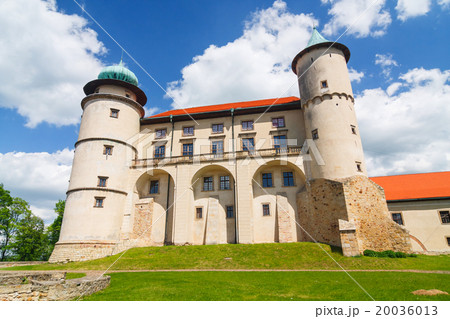 View of Nowy Wisnicz castle, Poland 20036013