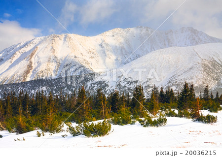 Hala Gasienicowa, winter landscape, High Tatras 20036215