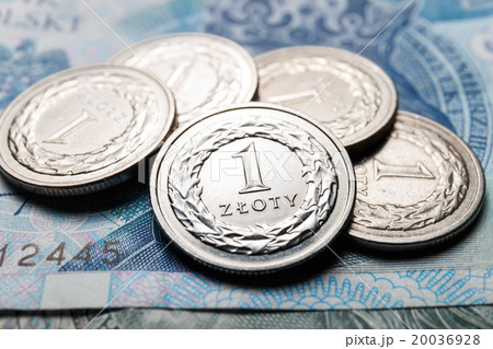 Polish zloty coins, close up 20036928