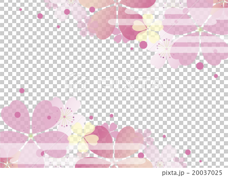 Japanese cherry background Japanese cherry background 20037025