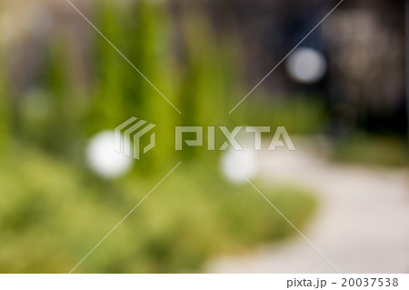 Sunny abstract green nature background, selective 20037538