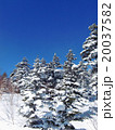 晴れた日の雪山 20037582