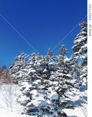 晴れた日の雪山 晴れた日の雪山 20037582